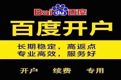 企业营销新策略：百度包年竞价案例分析